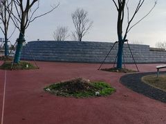 -春花秋色城市公园