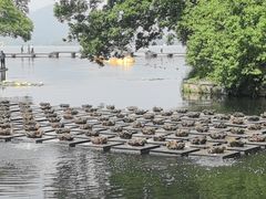 -西湖天地