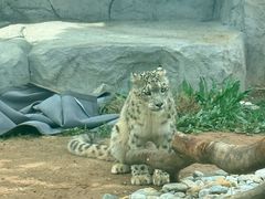 -青藏高原野生动物园