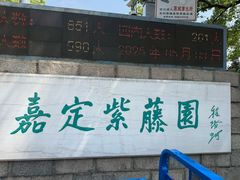 -嘉定紫藤园