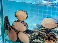 -白仁仔· 活烤海鲜 宵夜(豫园店)