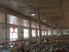 大堂-大鹅岛灶台鱼·铁锅炖(水库路店)