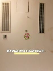 -静博士·养生养颜