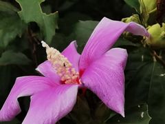 -国家植物园