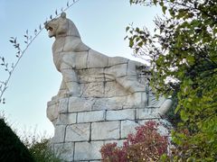 -帽儿山国家森林公园