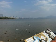 -深圳湾公园(南山区)