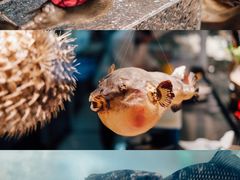 -蒋公馆家宴(江阴店)