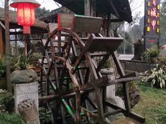 -青城甲(青城山店)