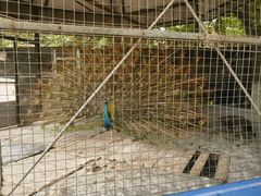 -天毓山庄·餐厅