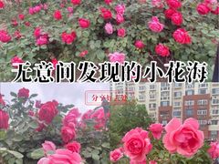 -靖江路(地铁站)