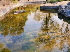 -太阳宫公园