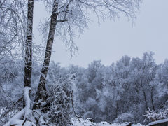 -零度滑雪室内训练中心(莘庄店)
