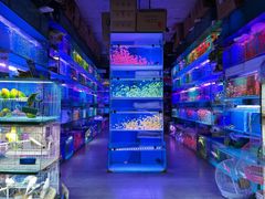 -青石桥花鸟鱼虫市场(叠翠城店)