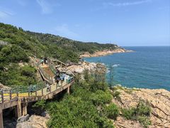 -广东惠东海龟国家级自然保护区