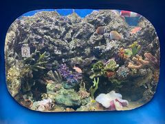 -欢乐海岸海洋奇梦馆