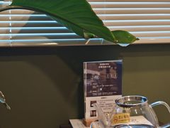 -剧狐剧本杀(徐汇1号店)