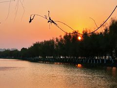 -艾溪湖湿地公园
