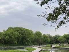 -西溪国家湿地公园