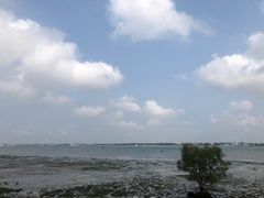 -霞山观海长廊