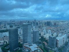 -上海龙之梦万丽酒店