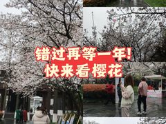 -堤角公园