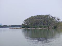-海珠湖公园