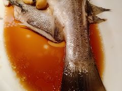 葱椒鲈鱼-绿茶餐厅(布吉万象汇店)