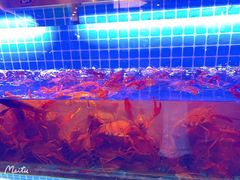 水产区-星伦多自助料理(永旺店)