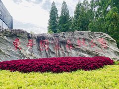 -东平国家森林公园
