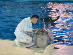 -泉城欧乐堡海洋极地世界