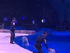 -华夏文旅海洋公园