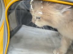 -美联众合动物医院·24h京西诊疗中心