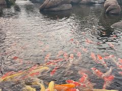 -罗红摄影艺术馆