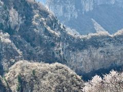 -青龙山生态文化旅游区