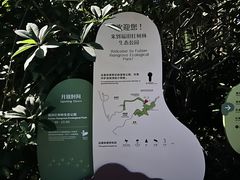 -福田红树林生态公园
