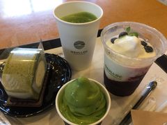 -雪绿茶博物馆