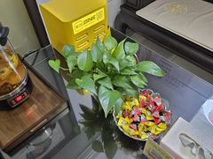 -张钰强中医正骨推拿连锁(华发商都店)