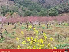 -广州市石门国家森林公园