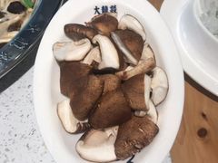 -大龙燚火锅