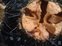 -宾朋海鲜特色美食餐厅·纯手工鲅鱼水饺(兴海路店)