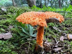 -南京市江宁方山