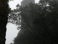 -七仙岭温泉国家森林公园