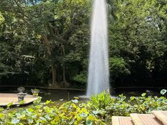 -九龙公园