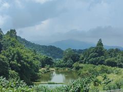 -天强农家菜馆
