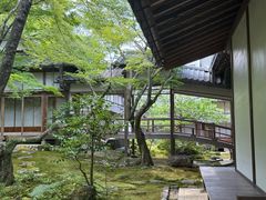 -常寂光寺