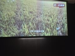 -华夏良子·足道·SPA·艾灸(金皇大厦店)