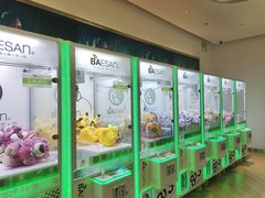 -813芭依珊 BAESAn(汇港购物中心店)
