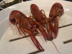 -红盔甲·小龙虾(长寿路店)