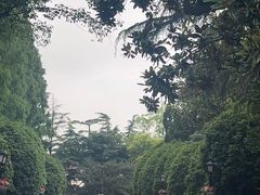 -上海虹桥迎宾馆