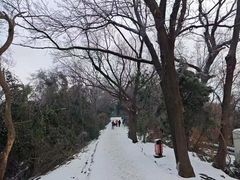 -大蜀山国家森林公园